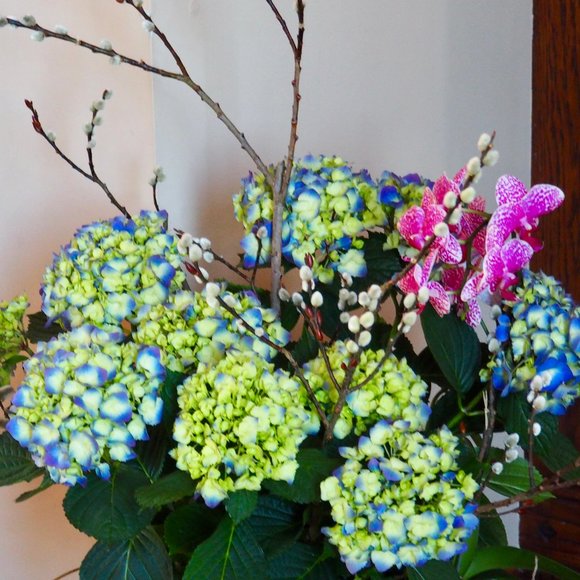 Meet your Posher, Candice - Picture 1 of 1